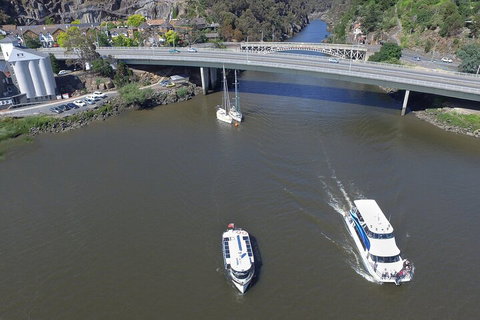 2.50 Hour Afternoon Discovery Cruise Including Cataract Gorge Departing At 3 Pm - C Tourism 3