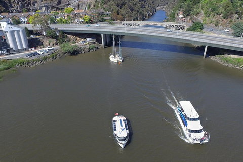 2.50 Hour Afternoon Discovery Cruise Including Cataract Gorge Departing At 3 Pm - C Tourism 5