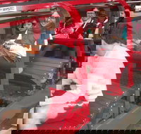 Blue Mountains Private Tour with Wildlife Park and River Cruise - C Tourism