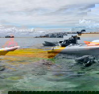 Seal Island and Penguin Island or Point Peron Sea Kayak Tour - C Tourism