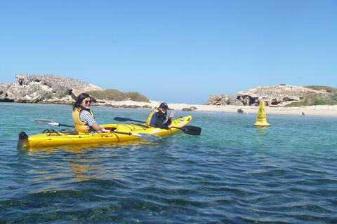 Seal Island And Penguin Island Or Point Peron Sea Kayak Tour - C Tourism 3
