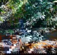 Aquaduck  Your choice of Gold Coast Rainforest Tour - C Tourism