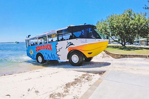 Aquaduck & Your Choice Of Gold Coast Rainforest Tour - C Tourism 1