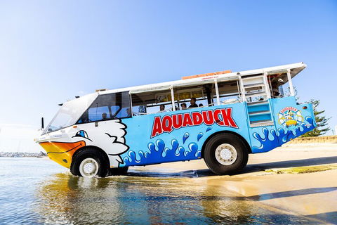 Aquaduck & Your Choice Of Gold Coast Rainforest Tour - C Tourism 3
