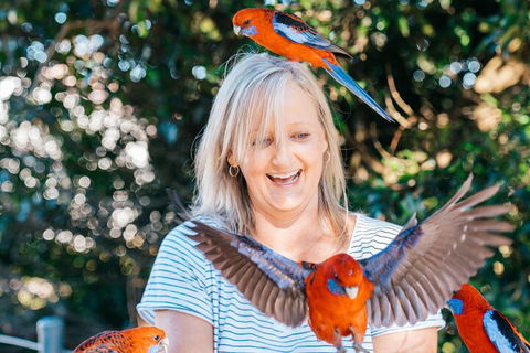 Aquaduck & Your Choice Of Gold Coast Rainforest Tour - C Tourism 5