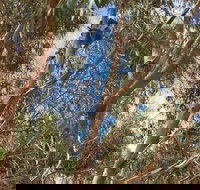 Kangaroo Island 4WD Tour - Best of KI in 2 Days - C Tourism