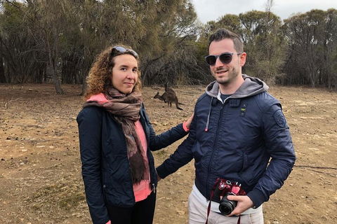 Kangaroo Island 4WD Tour - Best Of KI - C Tourism 3