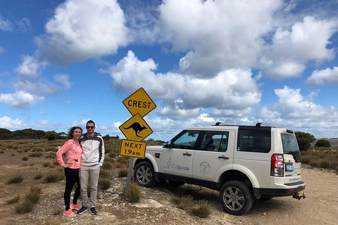Kangaroo Island 4WD Tour - Best Of KI - C Tourism 5