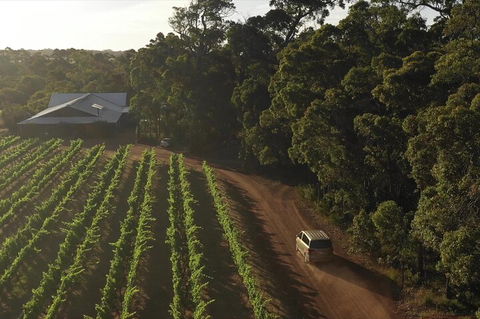 The All About Margaret River Tour: Wine, Coffee, Lunch And Forest - C Tourism 1