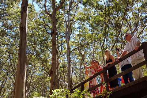 The All About Margaret River Tour: Wine, Coffee, Lunch And Forest - C Tourism 3