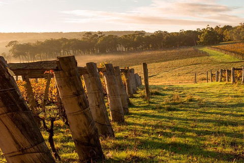 The All About Margaret River Tour: Wine, Coffee, Lunch And Forest - C Tourism 5