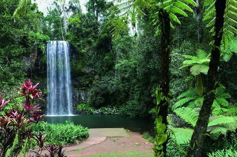 Paronella Park And Millaa Millaa Falls Full-day Tour From Cairns - C Tourism 3
