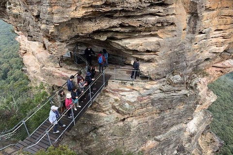 PJ Blue Mountains Supreme Day Tour - C Tourism 0