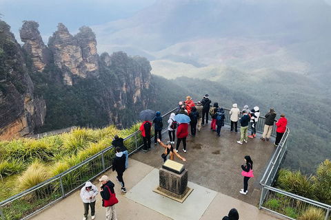 PJ Blue Mountains Supreme Day Tour - C Tourism 1