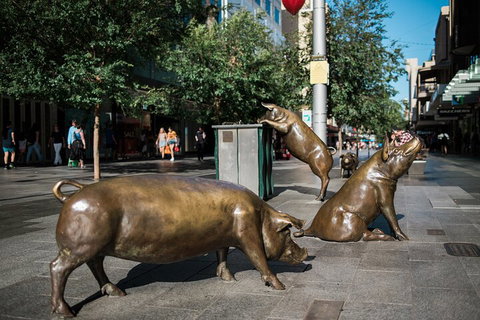 Guided Walking Tour In Adelaide - C Tourism 4