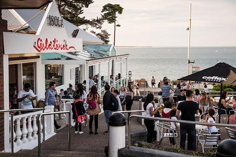Phillip Island And French Island Wildlife Expedition - C Tourism 0