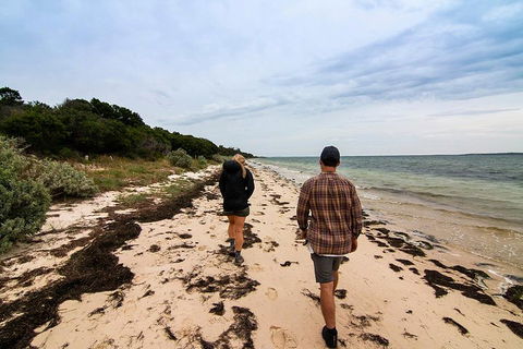 Phillip Island And French Island Wildlife Expedition - C Tourism 1