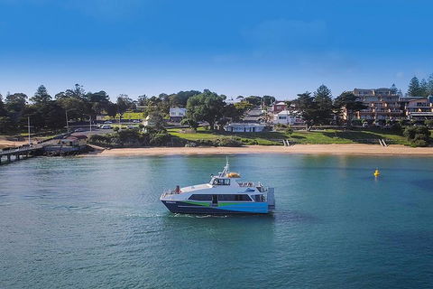 Phillip Island And French Island Wildlife Expedition - C Tourism 2