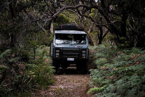 Phillip Island And French Island Wildlife Expedition - C Tourism 4