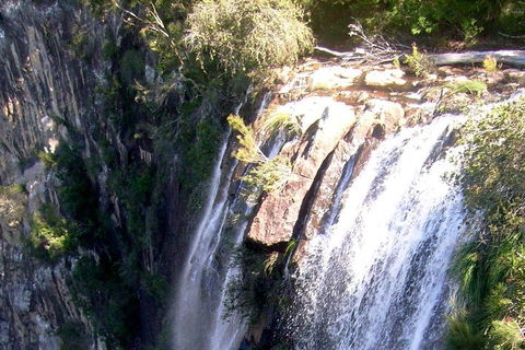 Byron Bay Combo: Hinterland Tour Including Minyon Falls And Kayaking With Dolphins - C Tourism 3