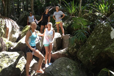 Byron Bay Combo: Hinterland Tour Including Minyon Falls And Kayaking With Dolphins - C Tourism 4