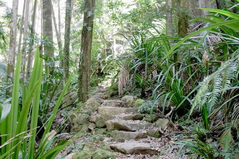 Byron Bay Combo: Hinterland Tour Including Minyon Falls And Kayaking With Dolphins - C Tourism 5