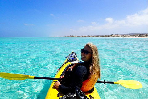 Lagoon Explorer - Ningaloo Reef Full-Day Kayaking And Snorkeling Adventure - C Tourism 1