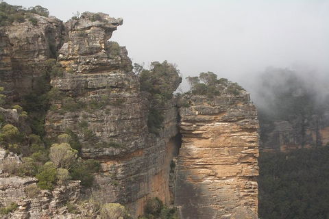 Blue Mountains PRIVATE Day Tour - C Tourism 2