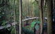 Blue Mountains PRIVATE Day Tour - thumb 5