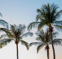Darwin City Sightseeing Tour - C Tourism