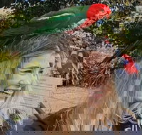 Lamington National Park O'Reilly's  Vineyard Tour - C Tourism