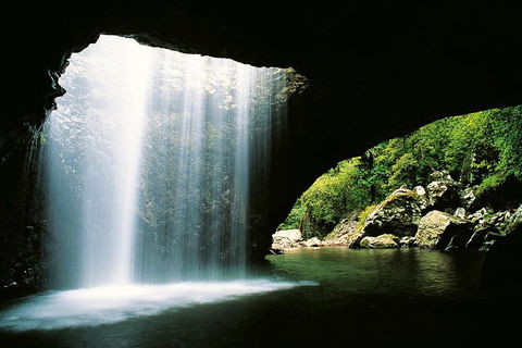 Natural Bridge & Springbrook Waterfalls Tour - C Tourism 0