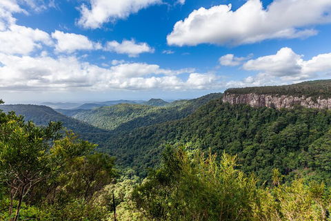 Natural Bridge & Springbrook Waterfalls Tour - C Tourism 1