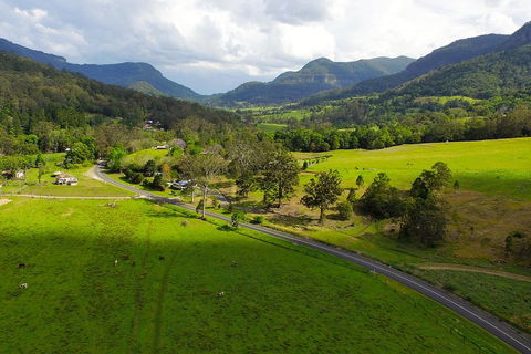 Natural Bridge & Springbrook Waterfalls Tour - C Tourism 2