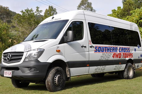 Natural Bridge & Springbrook Waterfalls Tour - C Tourism 3