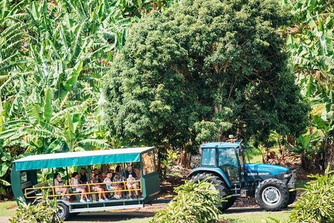 Northern Rivers Full Day Wine Tour - C Tourism 1