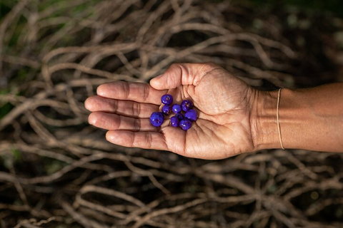 Cape Byron Aboriginal Tour - C Tourism 0