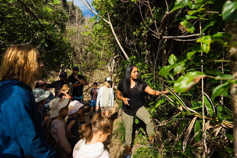 Cape Byron Aboriginal Tour - C Tourism 4
