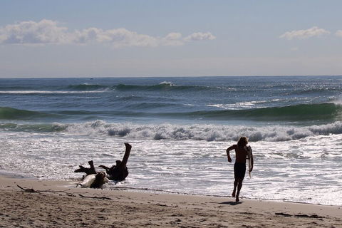 Private Surf Coaching Session In New South Wales - C Tourism 3