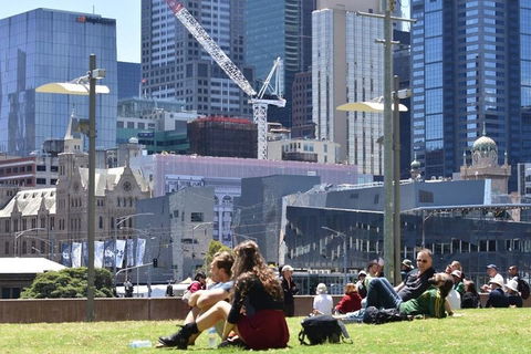 Personalised Half Day With A Local In Melbourne - C Tourism 0