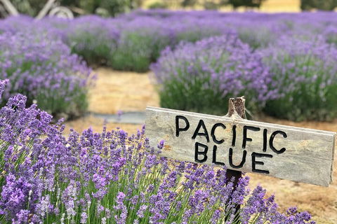 Kangaroo Island Half Day Food And Wine Trail Tour - C Tourism 5