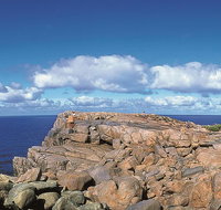 4 Day Tour Albany Margaret River Valley of the Giants TreeTop Walk from Perth - C Tourism