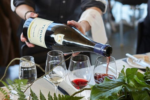 Yarra Valley Gourmet Small-Group Ecotour From Melbourne - C Tourism 3