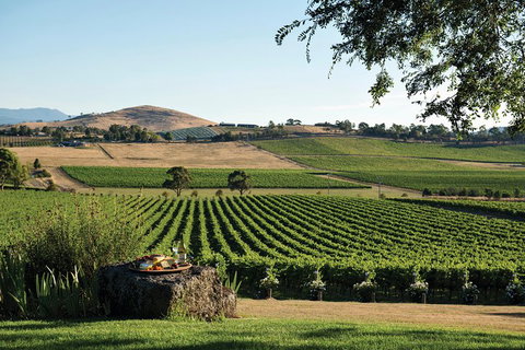 Small Group 6 Guests: Ultimate Yarra Valley Food And Wine - Mercedes Van - C Tourism 4