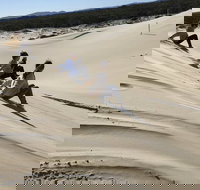 Port Stephens Bush Beach and Sand Dune 4WD Tag-Along Tour - C Tourism