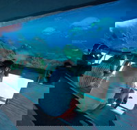 Great Barrier Reef Day Cruise to Reefworld - C Tourism