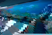 Great Barrier Reef Day Cruise to Reefworld, Airlie Beach