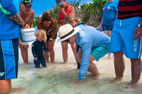 Whitehaven Beach And Hamilton Island Cruise - C Tourism 1