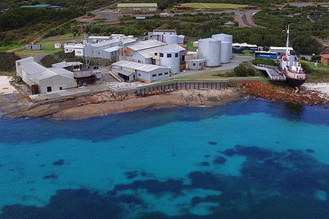 Albany's Whale Story - C Tourism 4