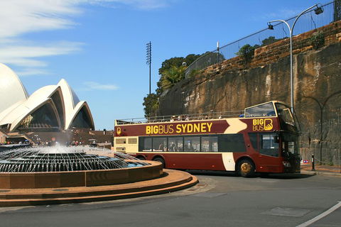 Big Bus Sydney And Bondi Hop-on Hop-off Tour - C Tourism 3